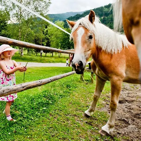 Happy Camp Mobile Homes In Bella Austria Campsite