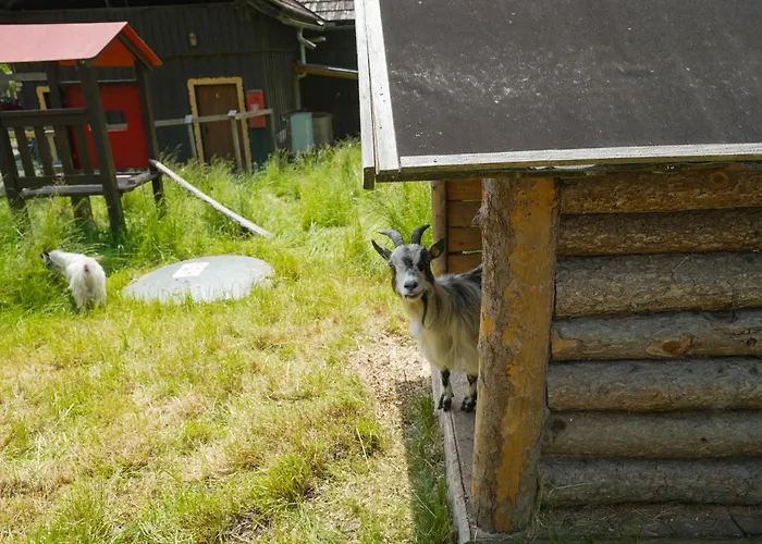 贝拉奥地利快乐大本营移动房屋露营旅馆 4* Sankt Peter am Kammersberg
