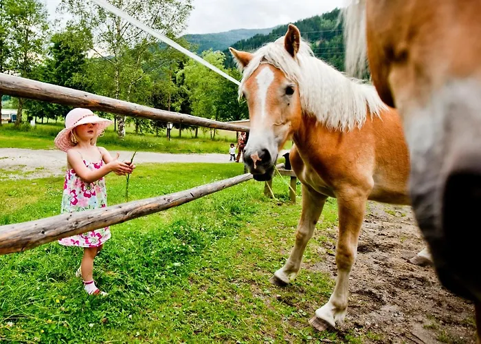 贝拉奥地利快乐大本营移动房屋露营旅馆 营地
